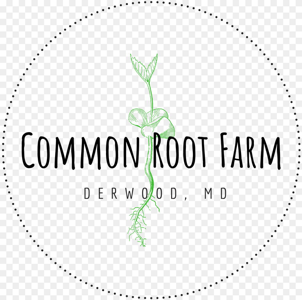 Logo Small Print, Green, Plant, Herbal, Herbs Free Transparent Png