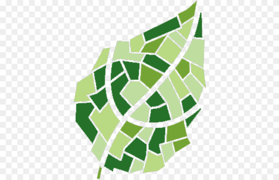 Logo Springbank Rise, Green, Leaf, Plant Free Transparent Png
