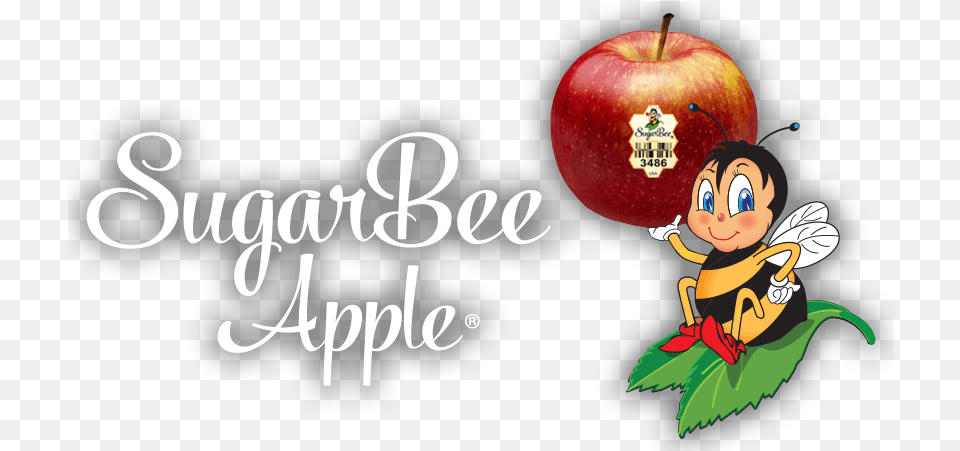 Logo Sugarbeeplu Sugarbee Apples Mcintosh, Apple, Produce, Plant, Fruit Free Transparent Png