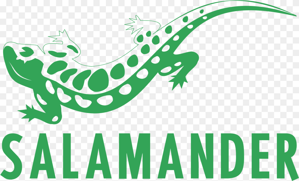 Logo Svg Freebie Supply Salamander Vector, Animal, Wildlife, Amphibian, Gecko Free Transparent Png