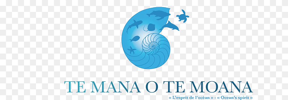 Logo Titre 2 Temanaotemoana Te Mana O Te Moana, Nature, Outdoors, Sea, Water Free Png Download