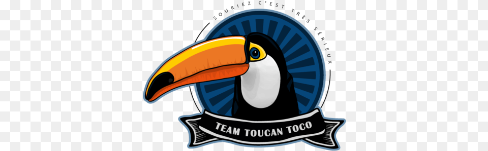 Logo Toucan Toco Team Toucan, Animal, Beak, Bird Png