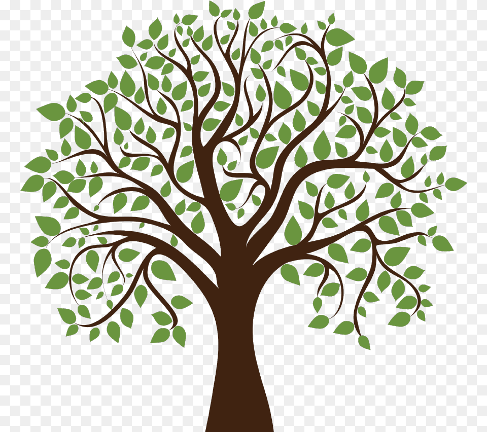 Logo Transparent Tree Logo, Oak, Plant, Art, Sycamore Png Image