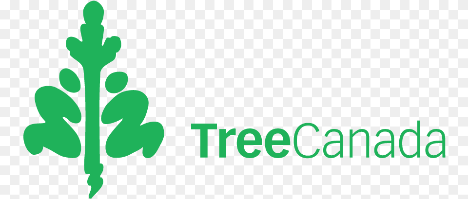 Logo Tree Canada Logo, Art, Plant, Herbs, Herbal Free Png Download