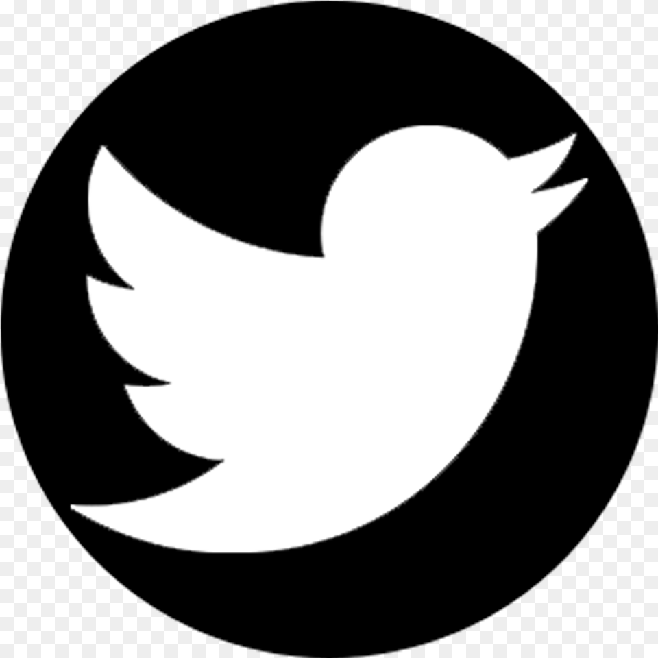 Logo Twitter Computer Icons Hd Twitter Logo White, Silhouette, Stencil, Astronomy, Moon Png Image