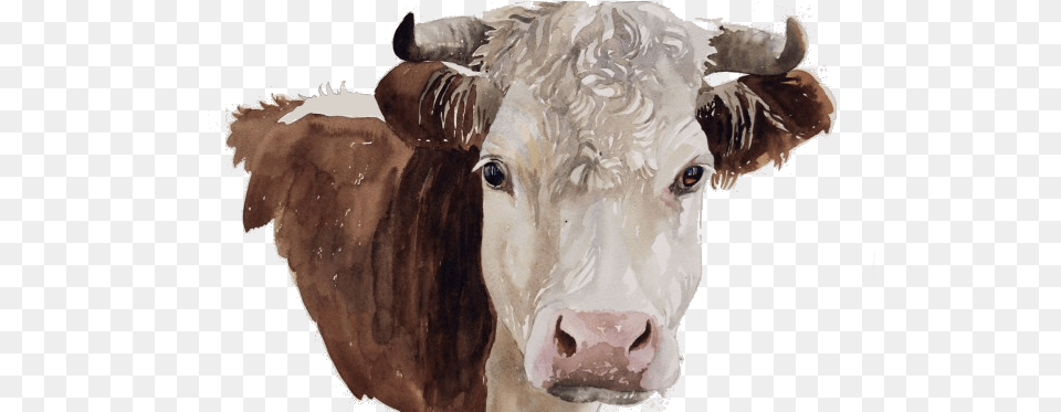 Logo U Baggrund Cattle, Animal, Bull, Mammal, Cow Free Transparent Png