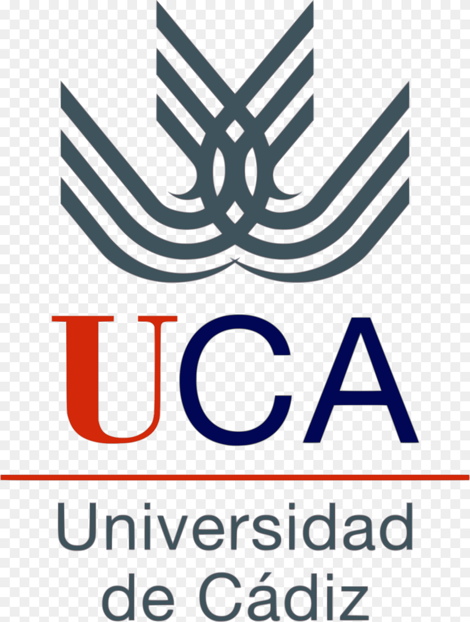 Logo Universidad De Cadiz, Text Png