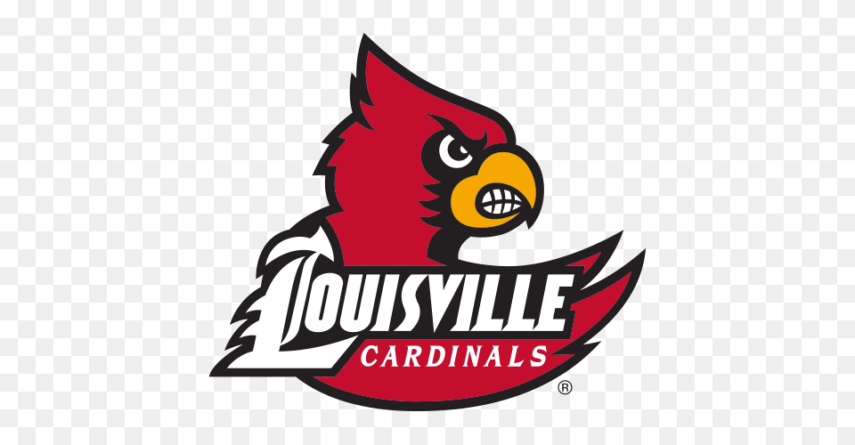 Logo University Of Louisville Cardinals Cardinal Bird Behind Free Transparent Png