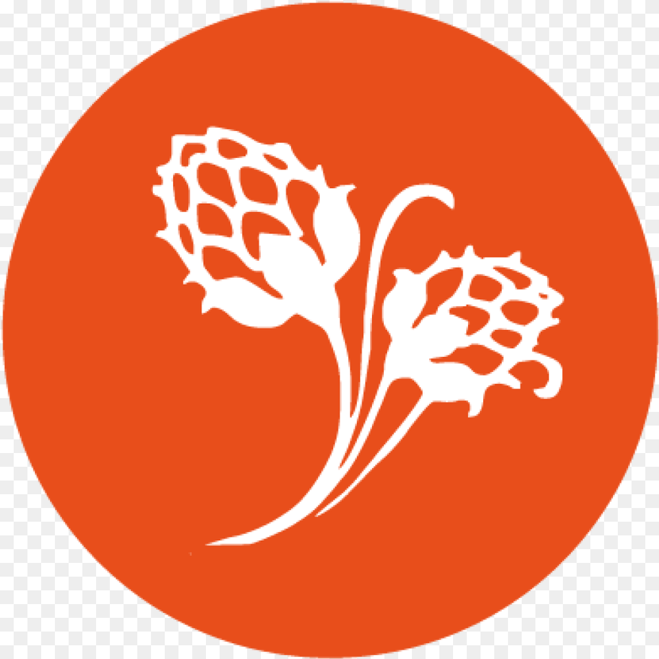 Logo White And Orange, Art, Floral Design, Flower, Graphics Png