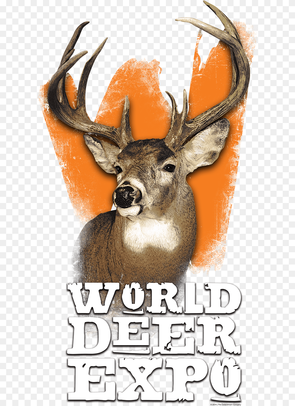 Logo World Deer Expo, Animal, Mammal, Wildlife, Antelope Free Png