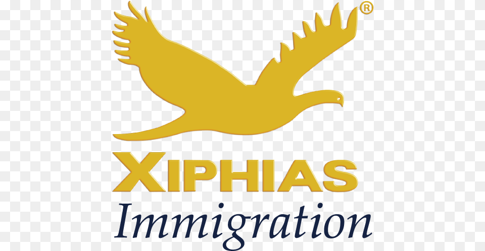Logo Xiphias Immigration Pvt Ltd, Animal, Kangaroo, Mammal Free Png Download