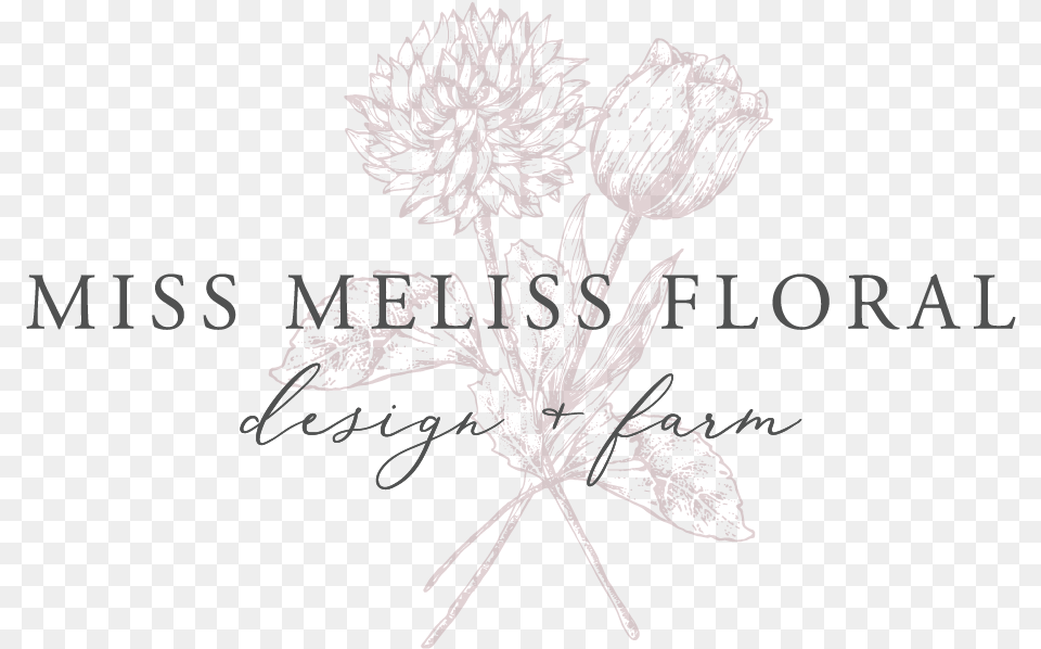 Logomeliss 01 Calligraphy, Flower, Plant, Art, Floral Design Free Png