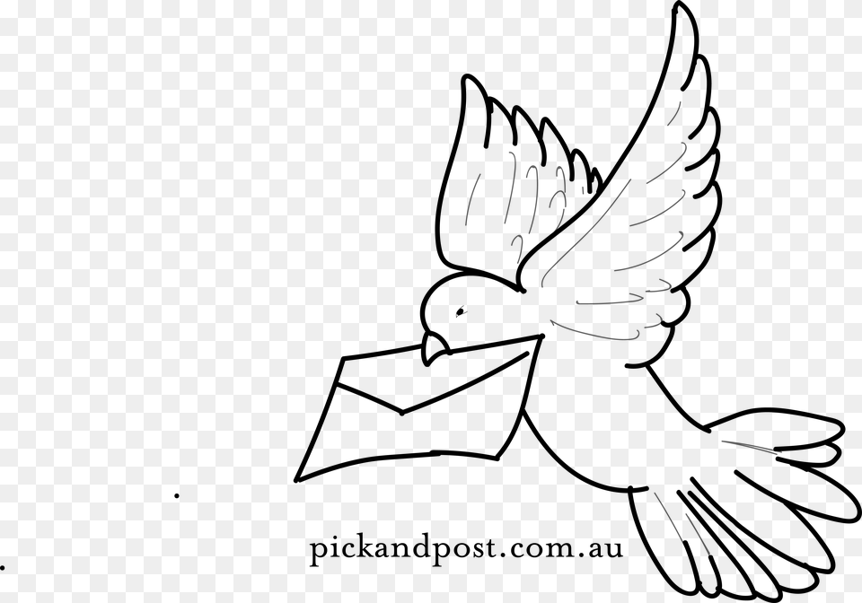 Logopick And Post, Animal, Bird, Pigeon, Dove Free Png Download