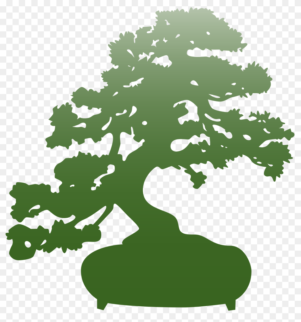 Logoprojetbonsai, Plant, Potted Plant, Tree, Baby Free Png