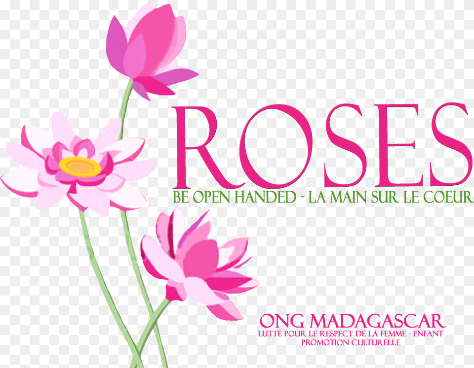 Logoroses Recoveredpng Diversity Of Cultural Expressions Floral, Flower, Plant, Petal, Advertisement Free Png Download