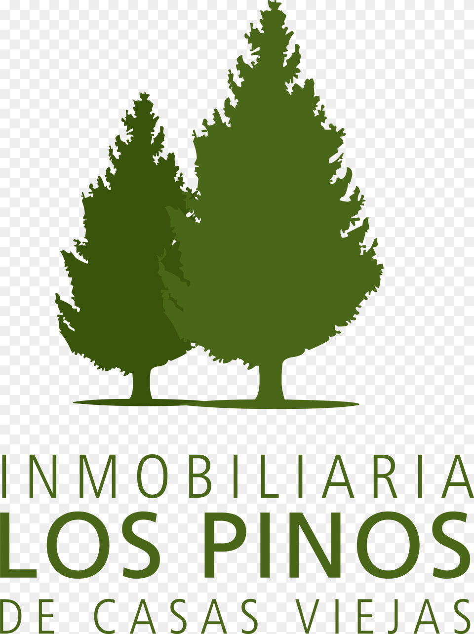 Logos Los Pinos, Vegetation, Plant, Leaf, Tree Png Image