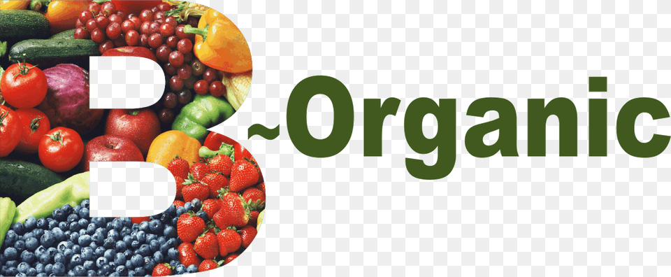 Logos Physical Organic Chemistry Book, Berry, Food, Fruit, Plant Free Transparent Png