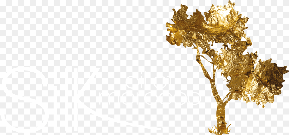 Logos Silk Oil Of Morocco Argan Oil, Bronze, Gold, Leaf, Plant Png Image