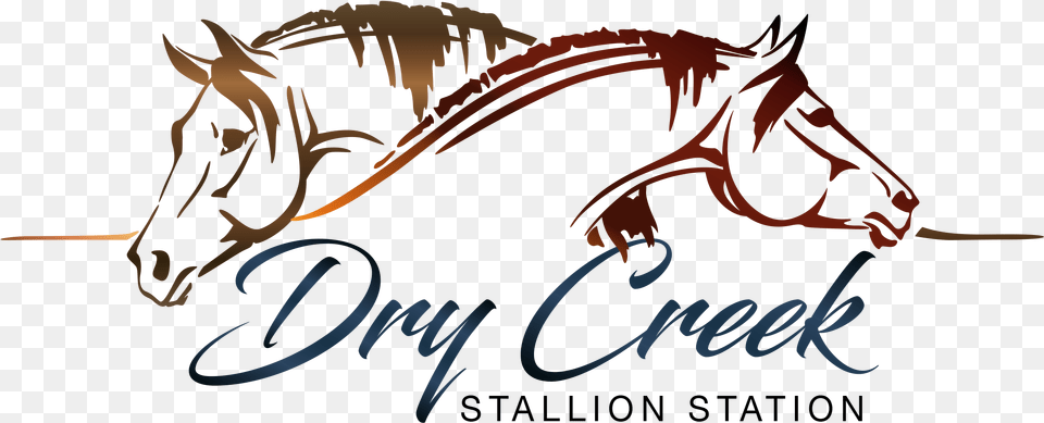 Logos Usa Stallionflyerscom Cheval Zen, Animal, Mammal, Text Png