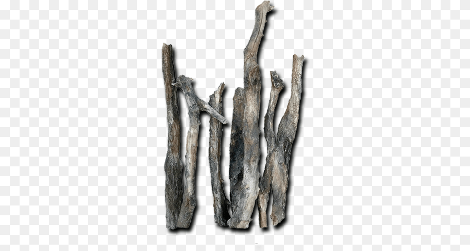 Logs Roots Bottom Rocks Driftwood, Wood, Plant, Tree Free Transparent Png