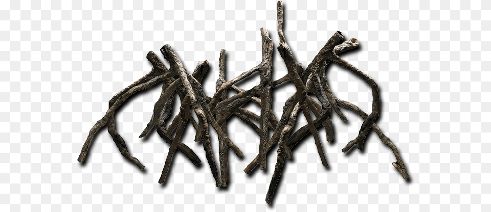 Logs Roots Bottom Rocks Invertebrate, Wood, Plant, Root, Driftwood Png Image