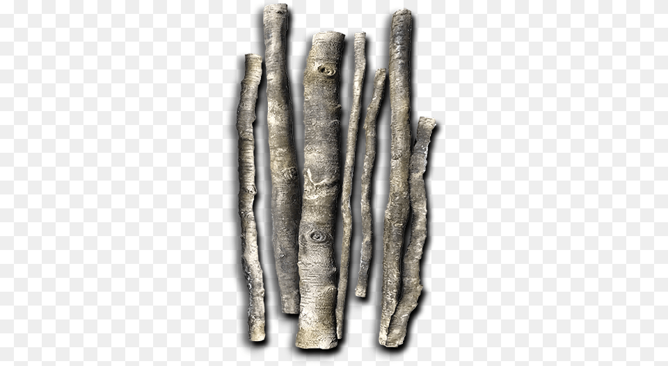 Logs Roots Bottom Rocks Punch, Plant, Tree, Wood, Tree Trunk Png