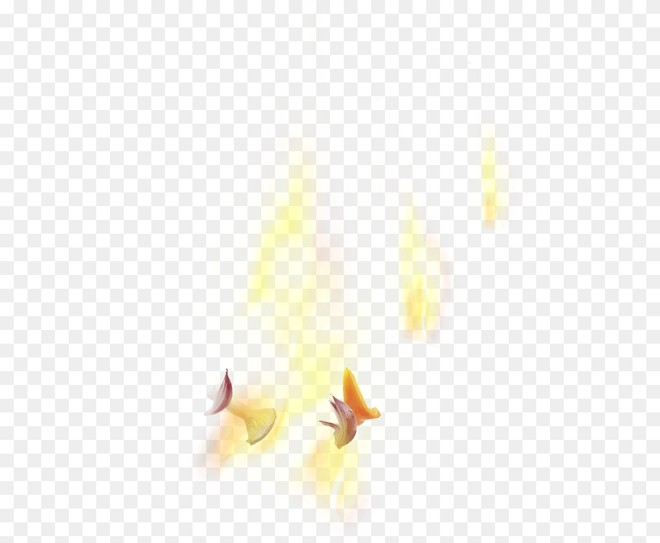 Lohas, Fire, Flame, Bonfire Free Transparent Png