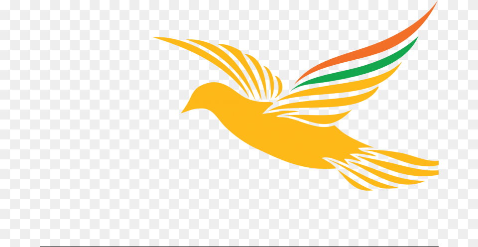 Lok Sabha, Animal, Bird Png