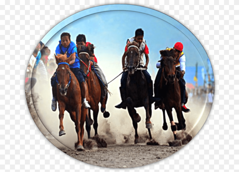 Lomba Merupakan Lokasi Yang Sering Digunakan Untuk Horse Racing, Photography, Person, Man, Male Free Png
