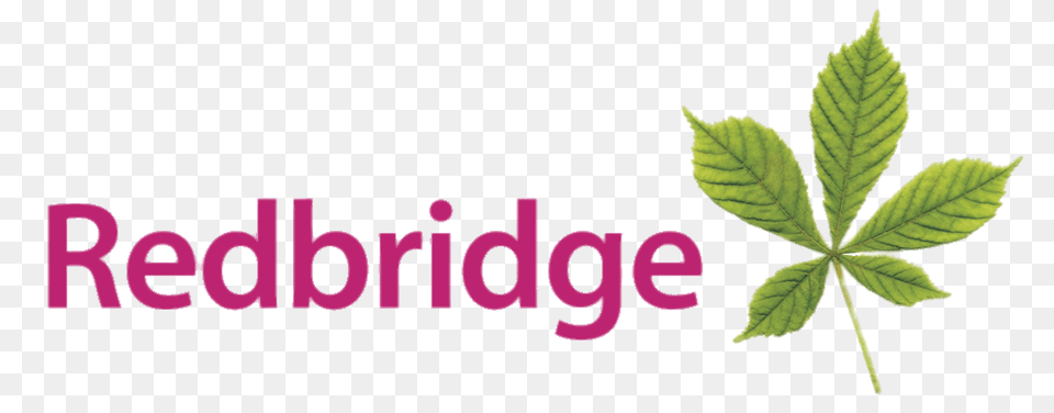 London Borough Of Redbridge, Green, Leaf, Plant, Herbal Png Image