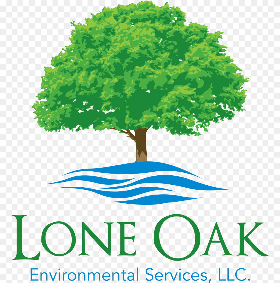 Lone Oak Environmental Services Captains Tree Service Llc, Vegetation, Sycamore, Plant, Green Png Image