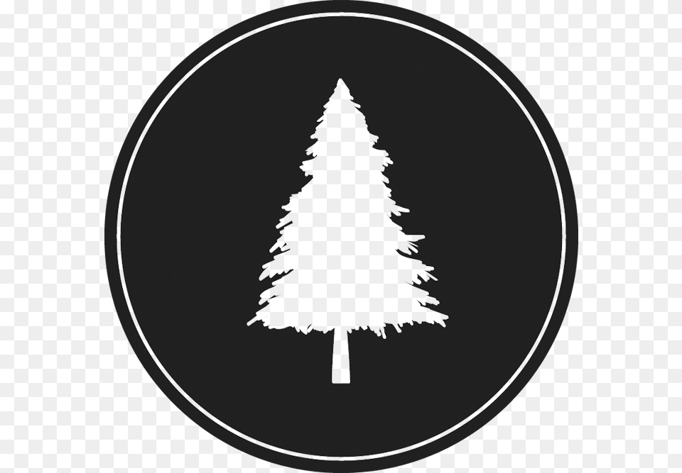 Lone Pine Brewing, Plant, Tree, Christmas, Christmas Decorations Free Png