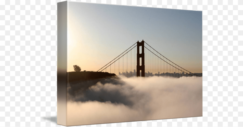 Lone Tree Golden Gate Bridge Morning Fog By Sf Bay Images Golden Gate Bridge, Nature, Outdoors, Weather Free Transparent Png