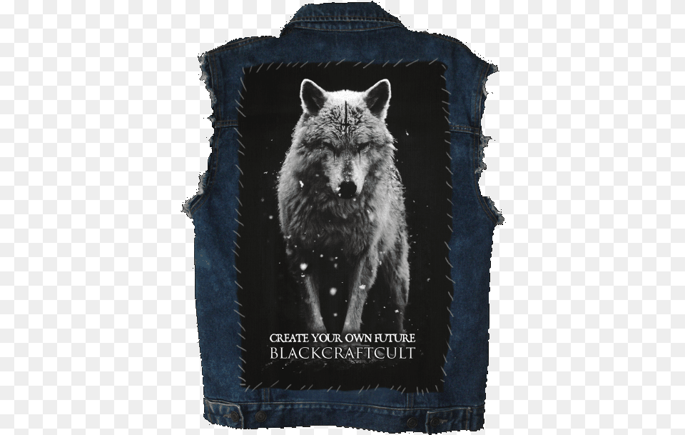 Lone Wolf Back Patch Baron Corbin Wolf T Shirt, Clothing, Vest, Animal, Canine Free Png