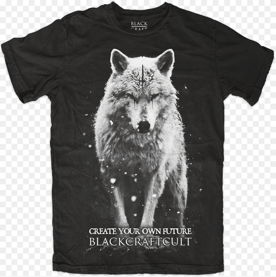 Lone Wolf Baron Corbin Wolf T Shirt, Clothing, T-shirt, Animal, Canine Free Png Download