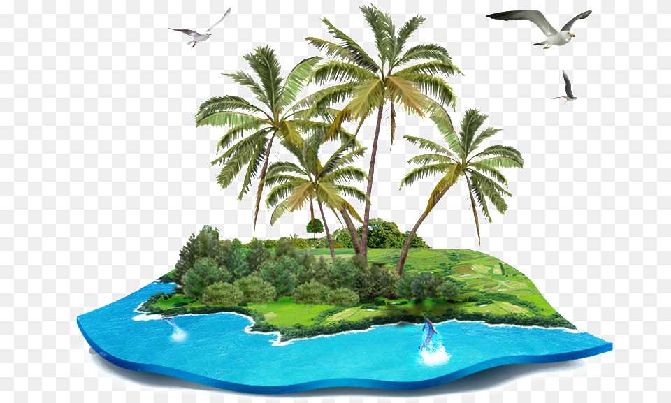 Lonely Island Cartoon Coconut Tree, Water, Coast, Land, Nature Free Transparent Png