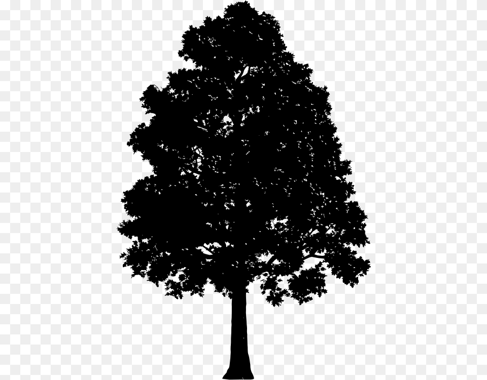 Lonely Tree Silhouette Tree Silhouette, Gray Free Png Download