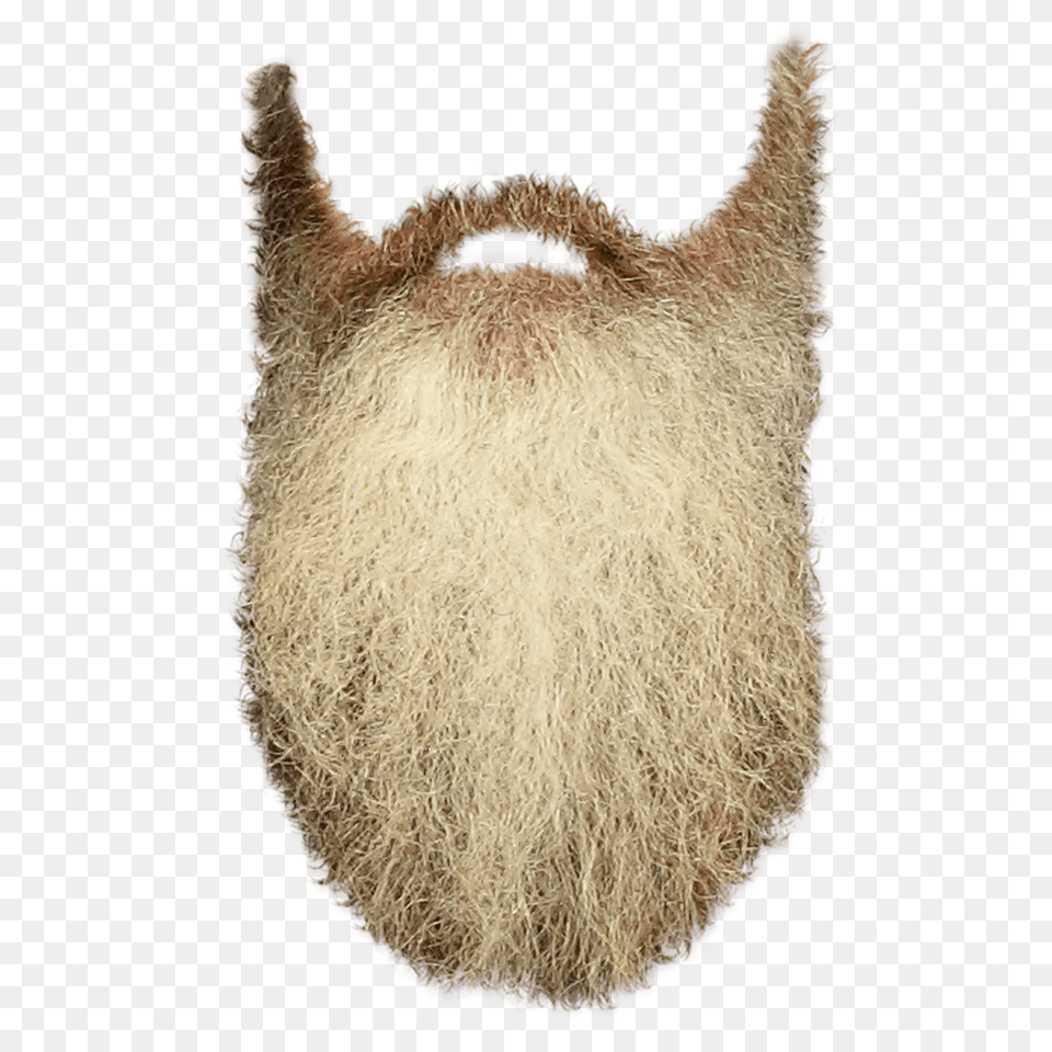 Long Beard, Face, Head, Person Png
