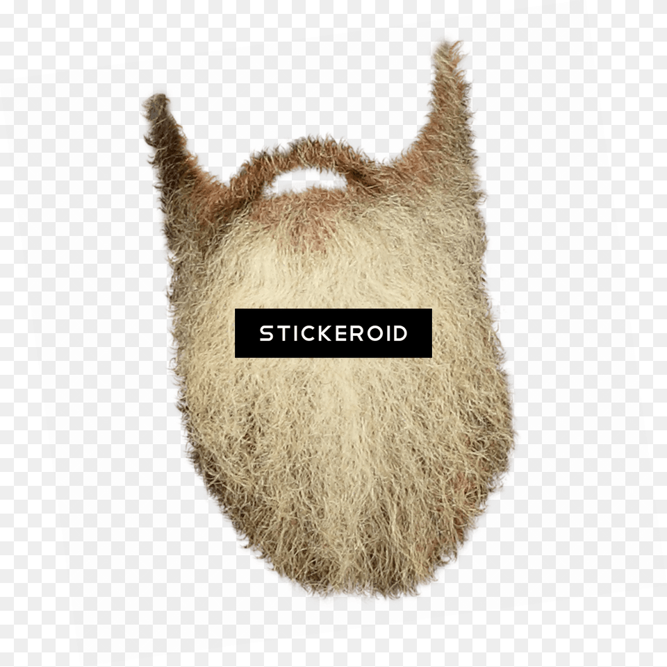 Long Beard Santa Beard, Face, Head, Person, Animal Free Png