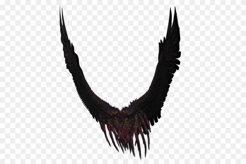 Long Black And Purple Wings, Accessories, Jewelry, Necklace, Animal Free Png