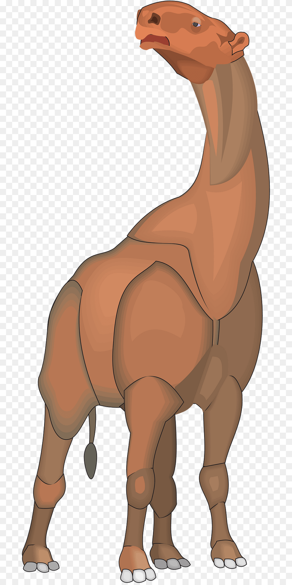 Long Clipart, Person, Animal, Camel, Mammal Png