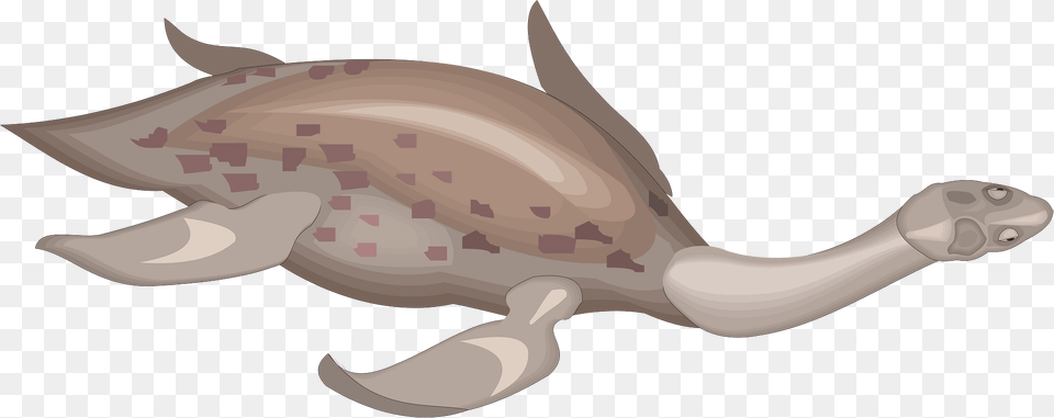 Long Clipart, Animal, Fish, Sea Life, Shark Free Png Download