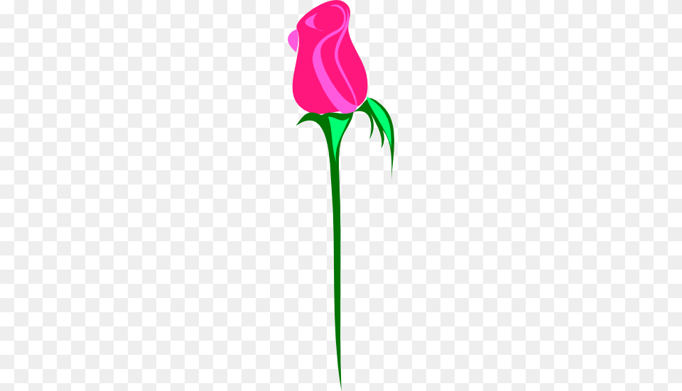 Long Clipart Rose Bud, Flower, Plant, Dynamite, Weapon Free Png Download