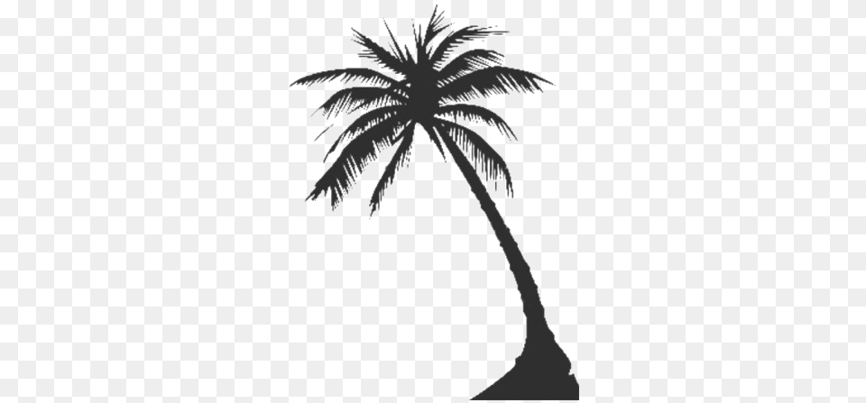 Long Coconut Tree Clipart All Vector Palm Tree Silhouette, Palm Tree, Plant, Animal, Bird Free Png Download