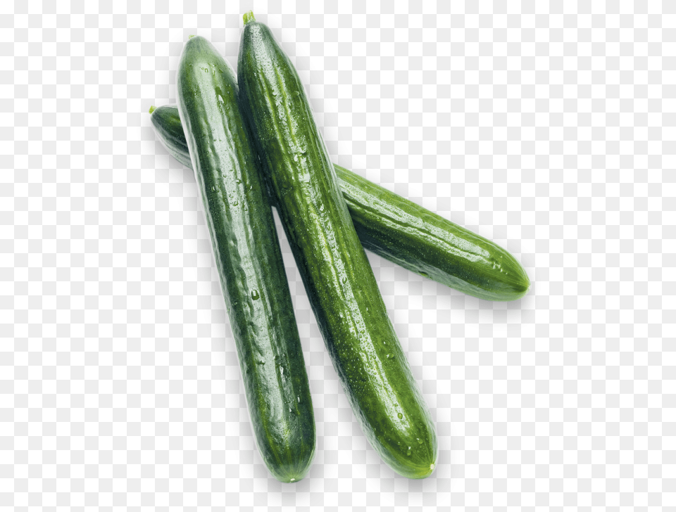 Long English Cucumbers Pickled Cucumber, Food, Plant, Produce, Vegetable Png Image