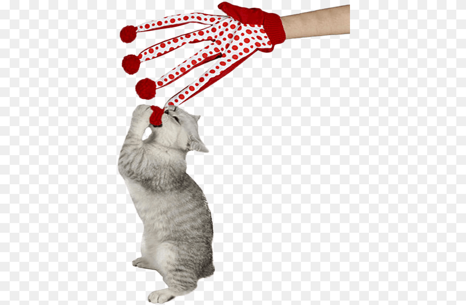 Long Finger Cat Toy, Clothing, Glove, Animal, Mammal Free Png