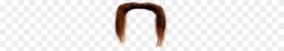 Long Ginger Moustache, Face, Head, Person, Mustache Free Png