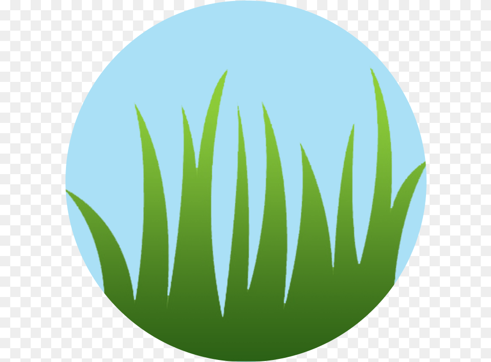 Long Grass, Green, Leaf, Plant, Sphere Free Transparent Png