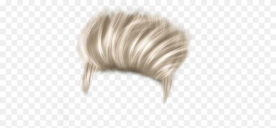 Long Guy Hair Hair Hd Download, Animal, Seashell, Sea Life, Invertebrate Png Image
