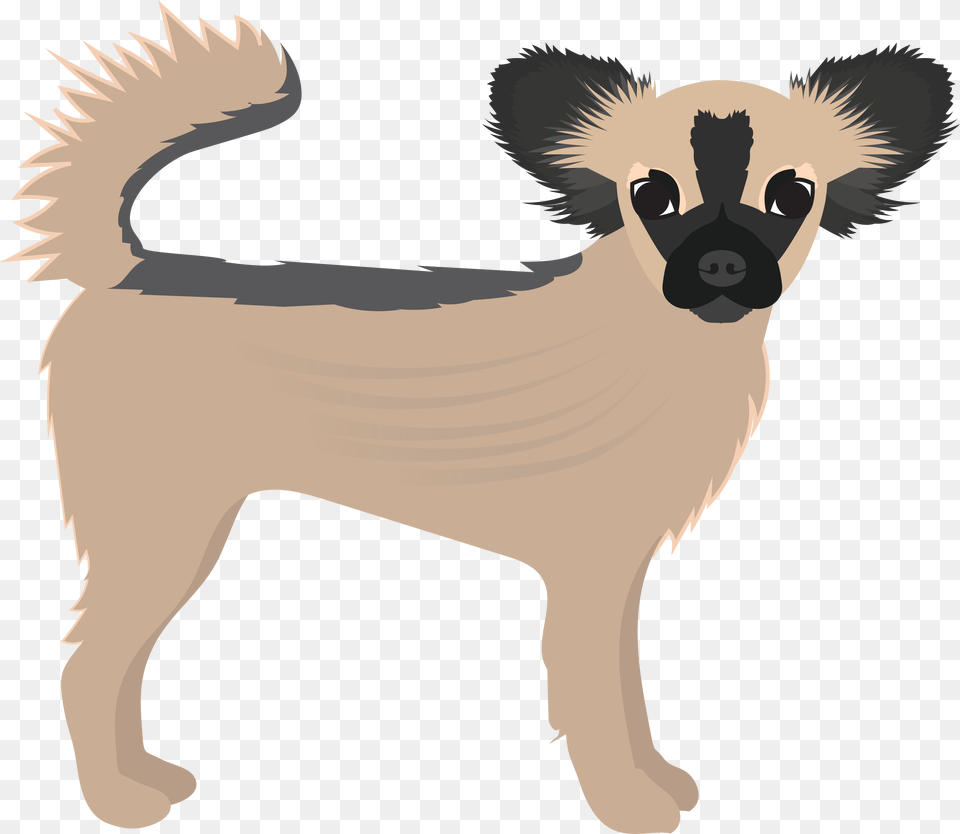 Long Hair Chihuahua Small Greek Domestic Dog Clipart Animal Figure, Bear, Mammal, Wildlife, Canine Free Png Download